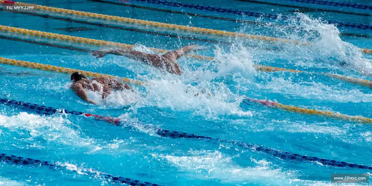 球盟会官网——🪂滑翔翼展，翱翔天际！